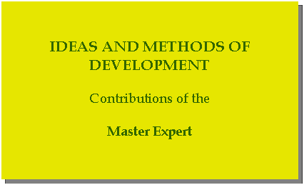 Casella di testo: Ideas and methods of developmentContributions of theMaster Expert